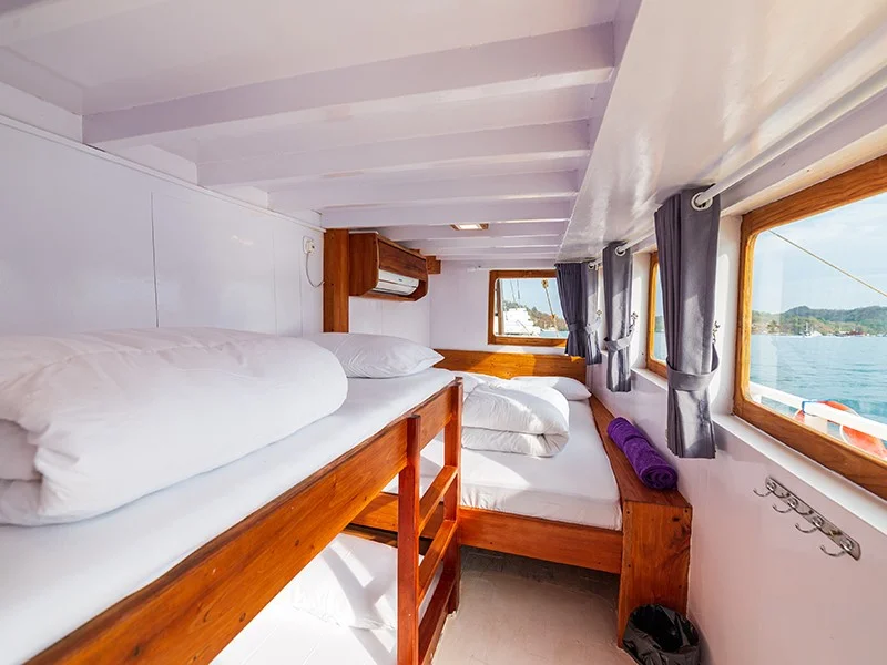 Social Shared Cabin - Image 1